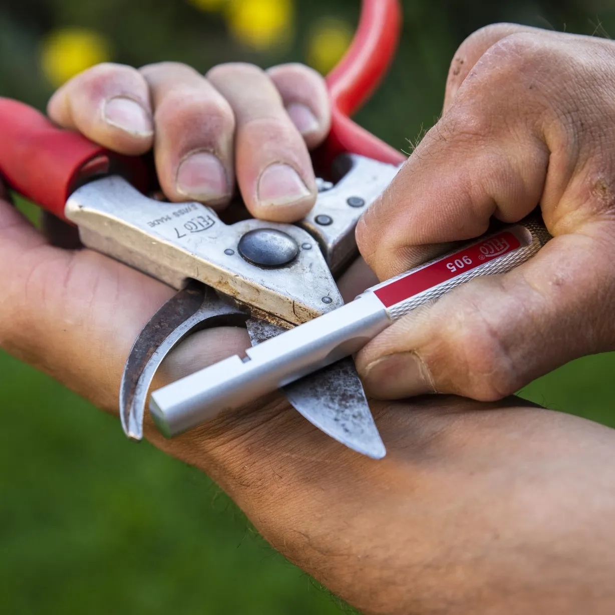 Felco 905 multifunctionele slijper